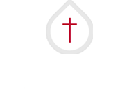 Treasures of Talented Entrepreneurs 